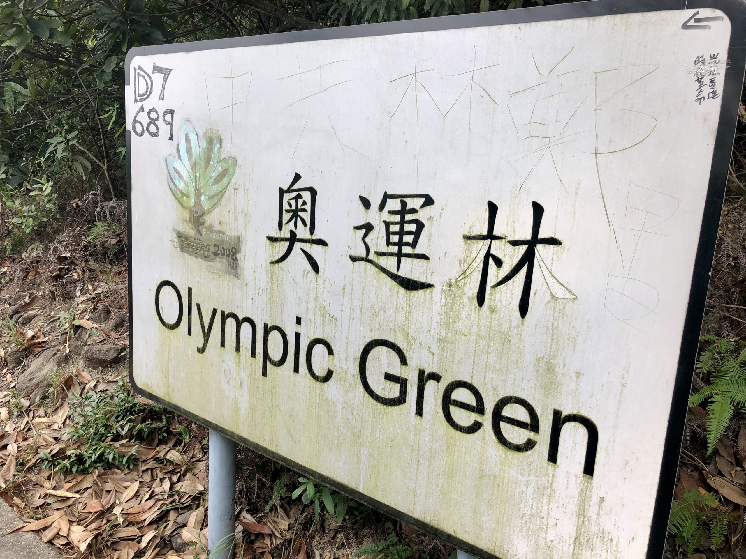 Hike: Olympic Trail / Green